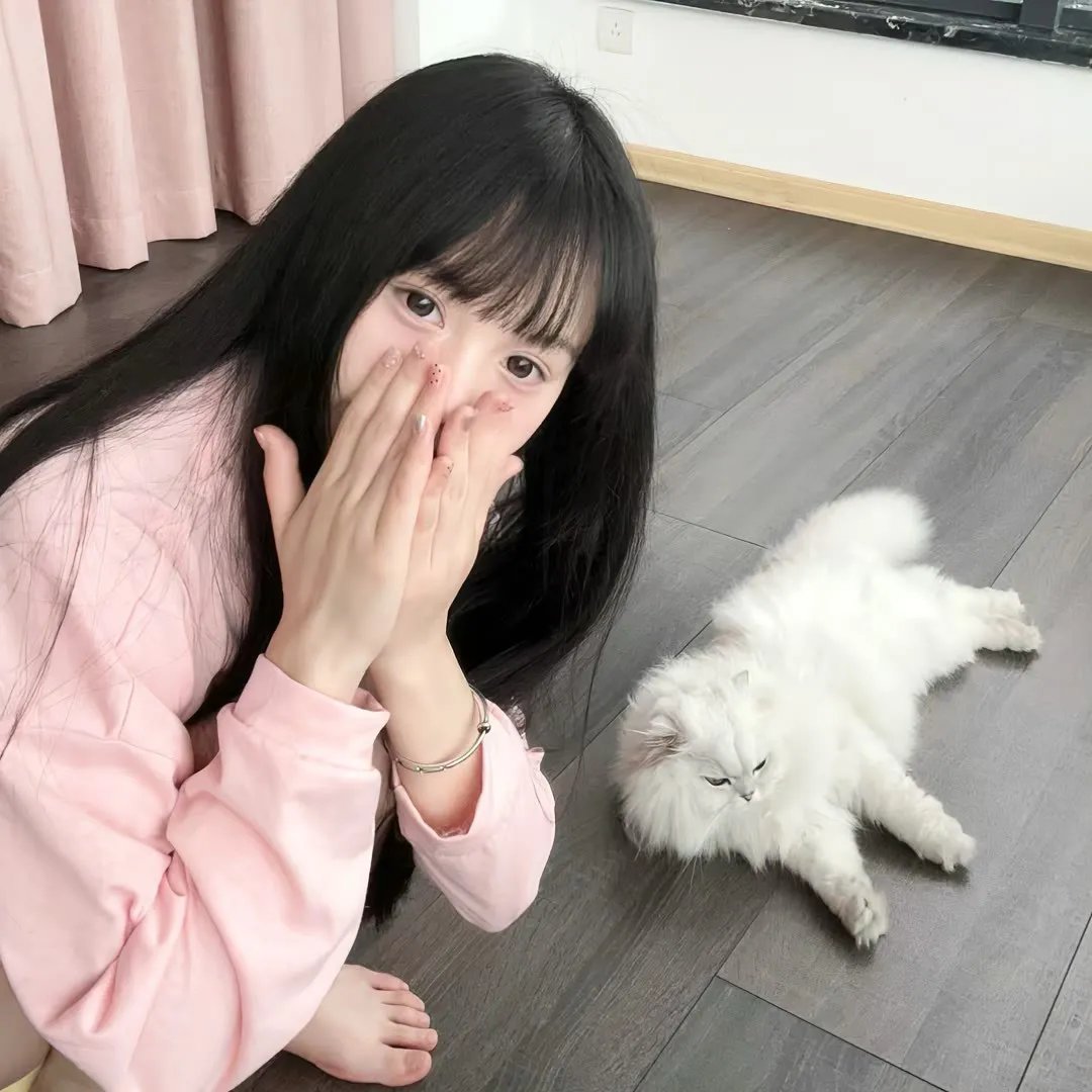 纳斯卡：全速狂飙
