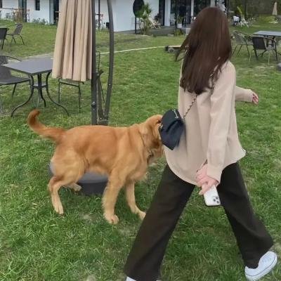 以规则之名